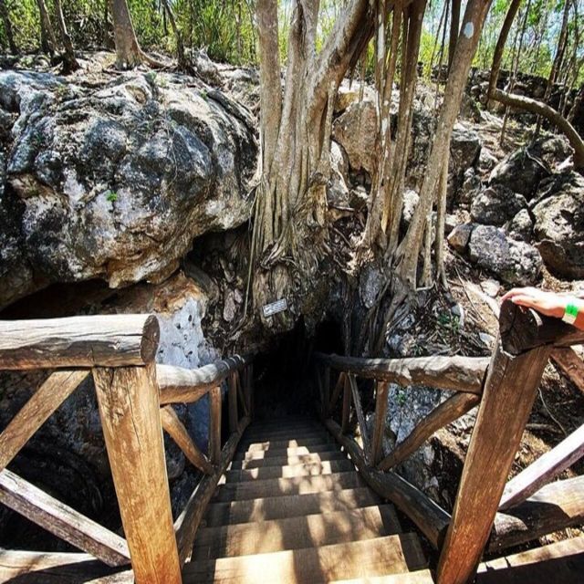 From Merida: 4 Cenotes and Acanceh Zone With Lunch & Bikes - Key Points