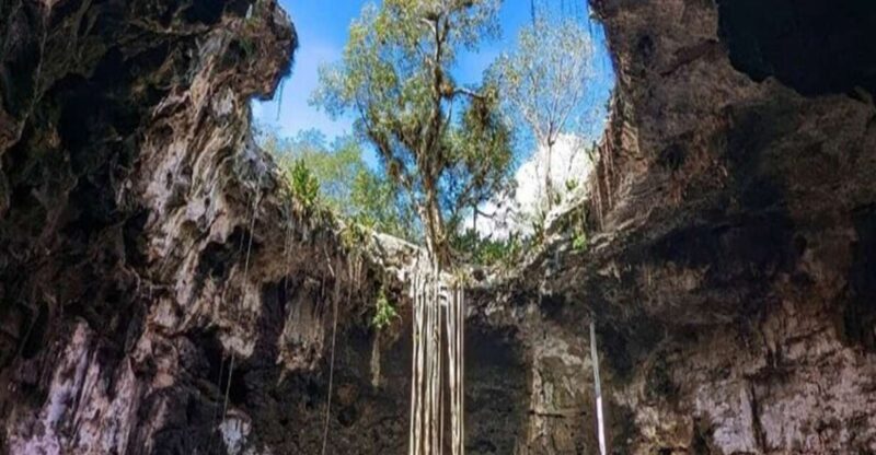 From Merida: 4 Cenotes and Acanceh Zone With Lunch & Bikes - Lunch and Dining