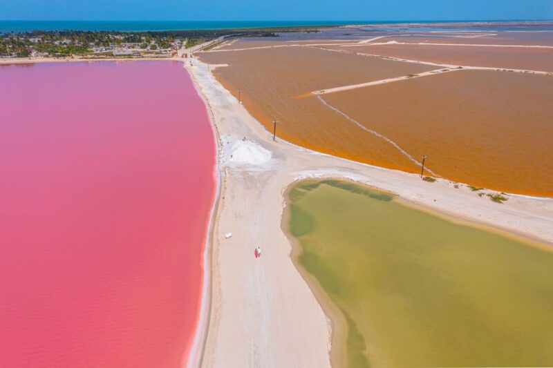 From Mérida: All-Inclusive Tour to Las Coloradas - Inclusions