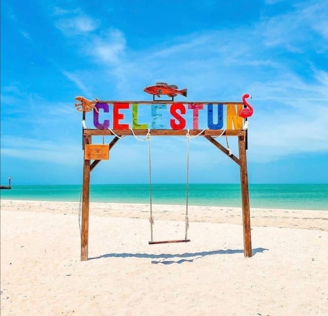 From Merida: Celestun Biosphere Reserve Day Trip - Exploring the Celestun Biosphere Reserve