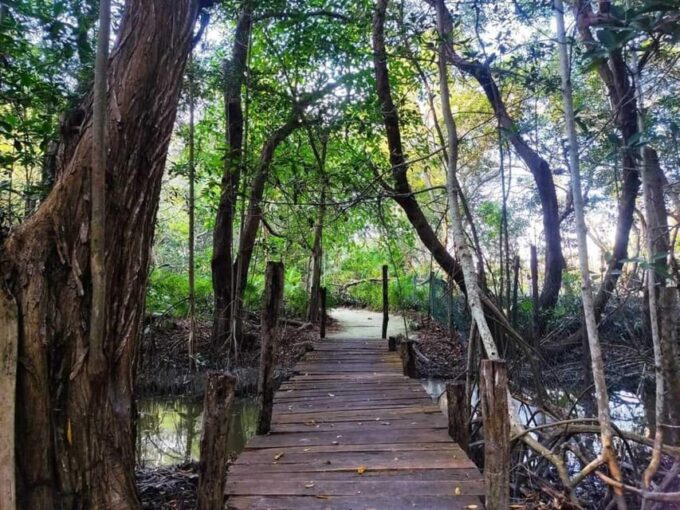 From Merida: Celestun Biosphere Reserve Day Trip - Frequently Asked Questions