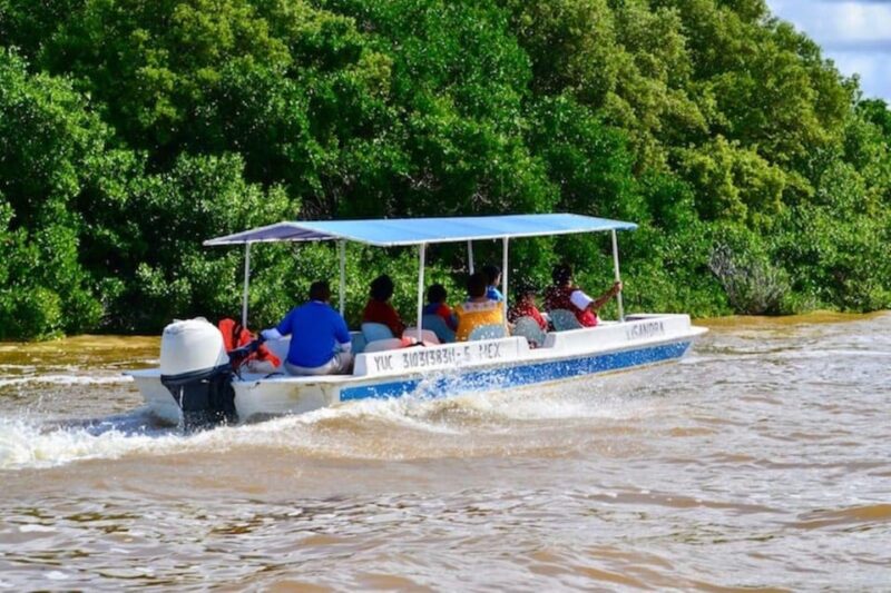 From Merida: Celestún, Salt Lakes, and Beach Day - Wildlife Experience