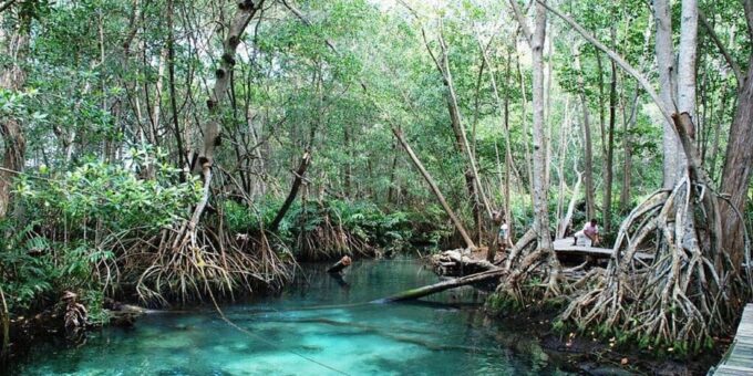 From Merida: Celestún, Salt Lakes, and Beach Day - Important Information