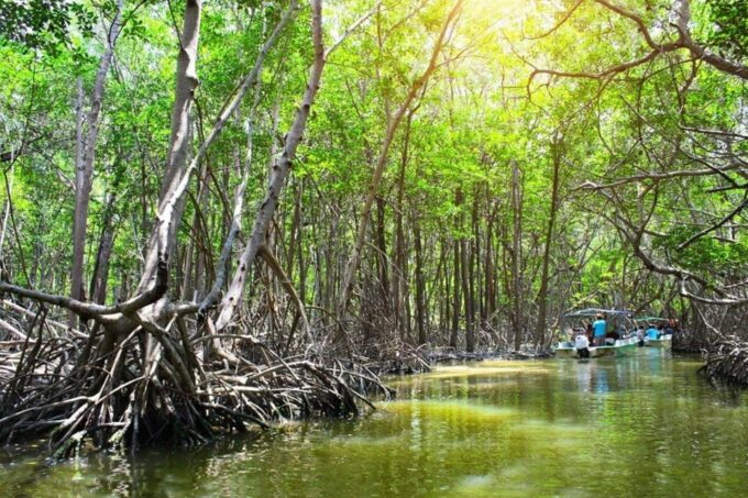 From Merida: Celestún, Salt Lakes, and Beach Day - Frequently Asked Questions