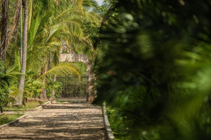 From Mérida: Chichén Itzá and Cenote Tour With Buffet Lunch - Highlights