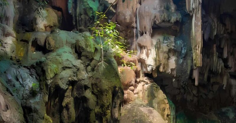 From Merida: Chichen Itza + Mayan Sanctuary and Cenote - Inclusions