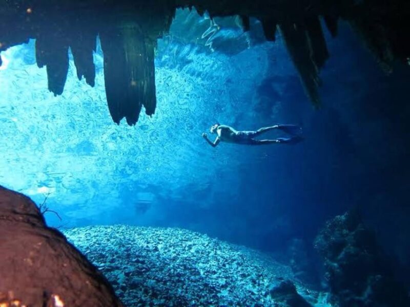 From Mérida: Discover 4 Magical Cenotes + Typical Lunch - Key Points