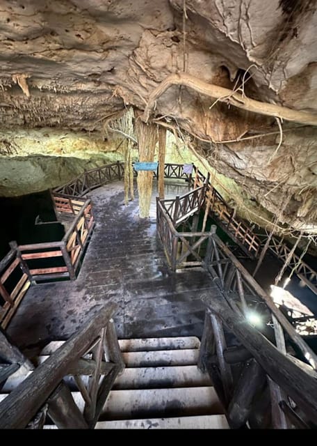 From Mérida: Discover 4 Magical Cenotes + Typical Lunch - Inclusions and Amenities