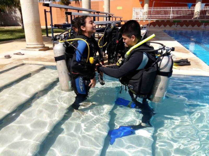From Mérida: Discover Diving - Key Points