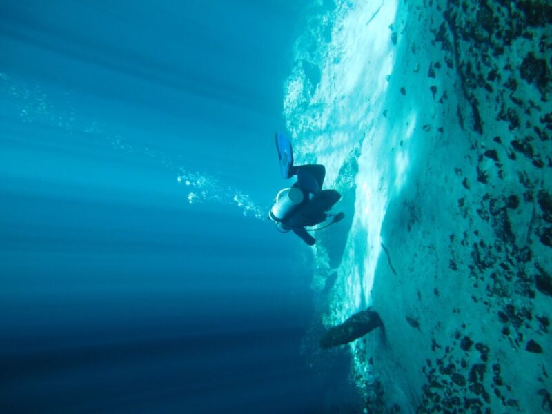 From Mérida: Diving in a Cenote - Experience Highlights