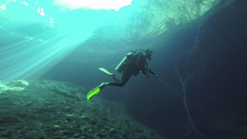 From Mérida: Diving in a Cenote - Tour Details