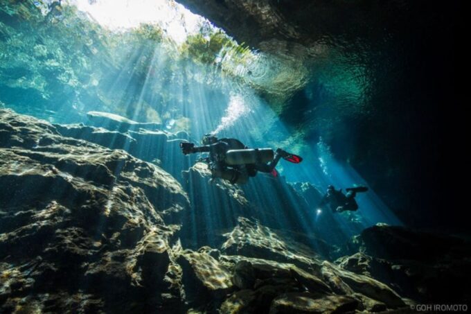 From Mérida: Diving in a Cenote - Exploring the Yucatans Views