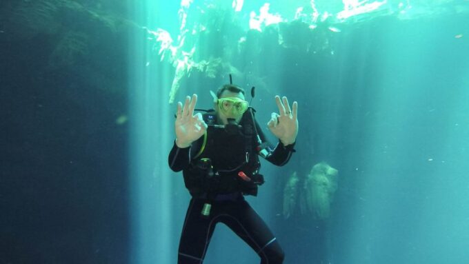 From Mérida: Diving in a Cenote - Diving in the Cenote