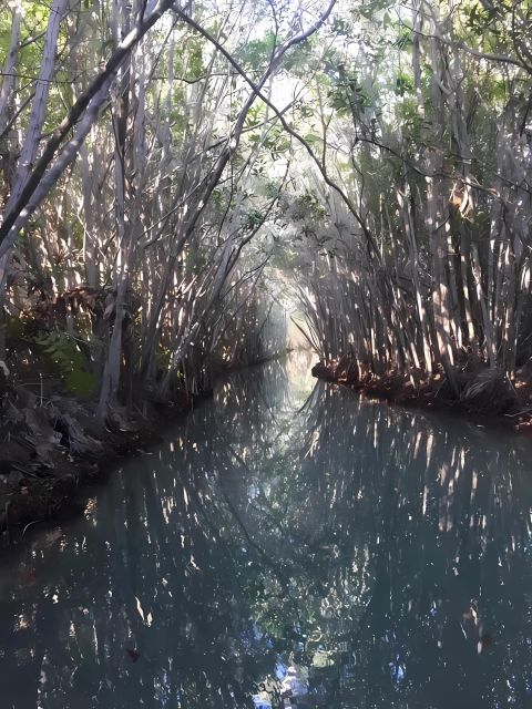 From Mérida: Enjoy Nature, Cenotes, and Beach in One Day - Inclusions and Exclusions