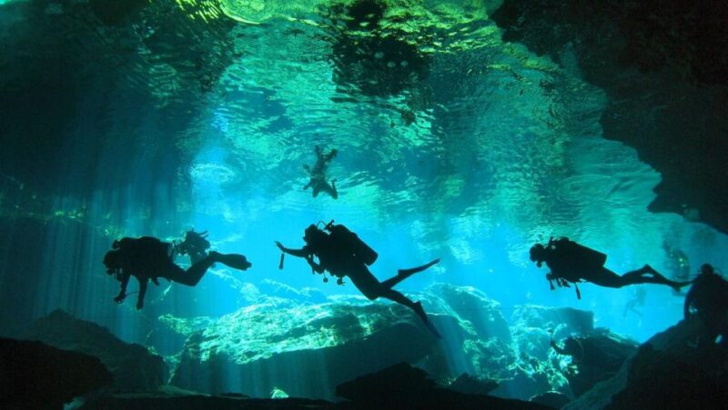 From Mérida: Explore Two Cenotes Tour With Lunch - Key Points
