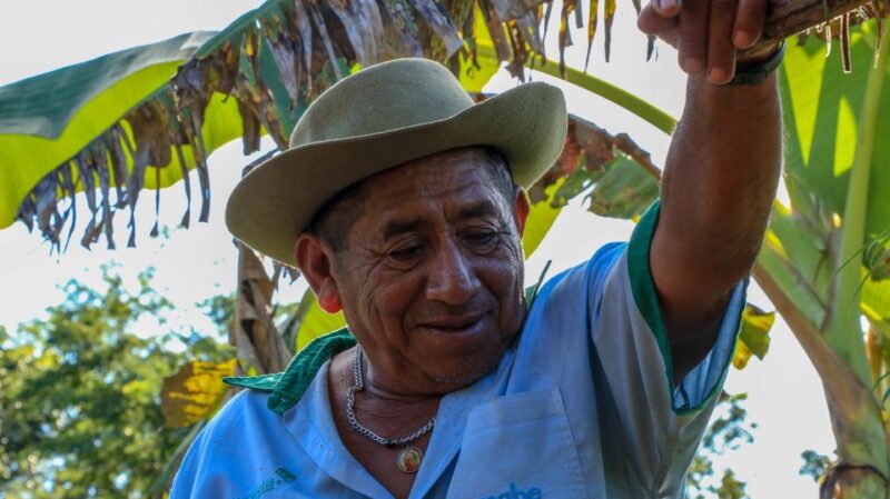 From Mérida: Farming, Cenote, and Ek Balam Pyramids Tour - Key Points