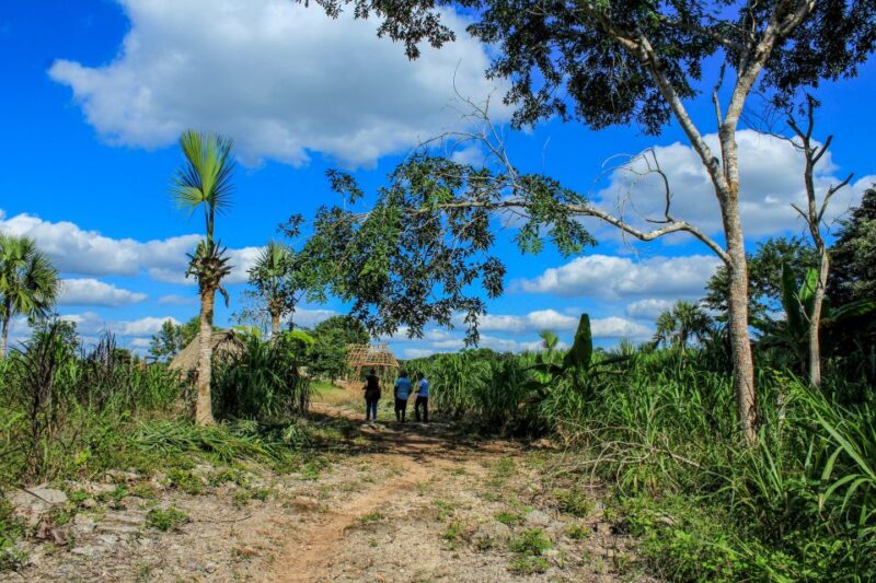 From Mérida: Farming, Cenote, and Ek Balam Pyramids Tour - Included Amenities