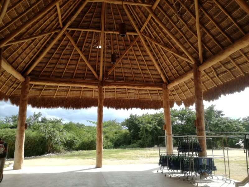 From Merida: Full-Day Cuzama Cenotes Tour - Meal Offerings