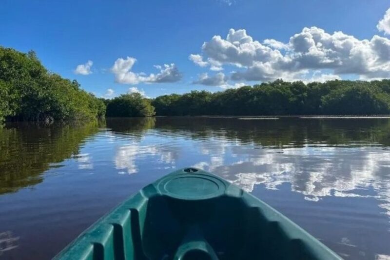 From Mérida: Full-Day Sisal Kayaking Tour With Lunch - Itinerary