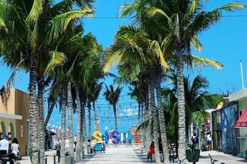 From Mérida: Full-Day Sisal Kayaking Tour With Lunch - Pickup and Drop-off