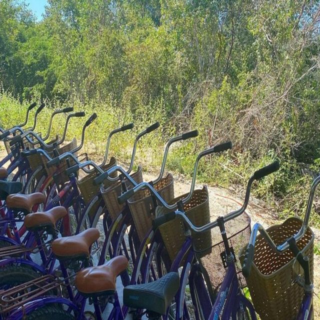 From Merida: Izamal and Santa Barbara Cenotes With Lunch - Inclusions