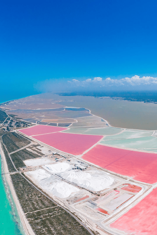 From Merida: Las Coloradas, Rio Lagartos & Beach Tour - Key Points
