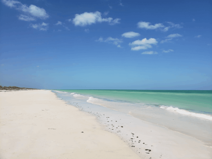 From Merida: Las Coloradas, Rio Lagartos & Beach Tour - Pickup Options