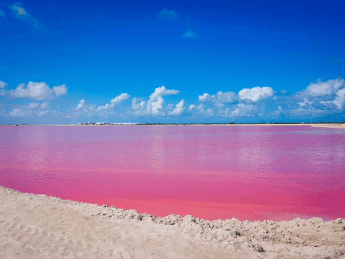 From Merida: Las Coloradas, Rio Lagartos & Beach Tour - Cancunito Beach