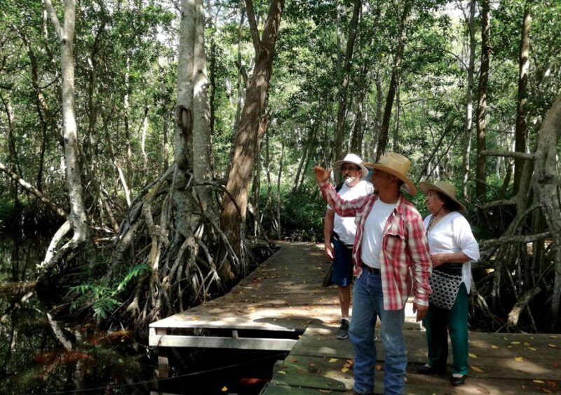 From Mérida: Ria Celestun Biosphere Reserve Tour - Important Information