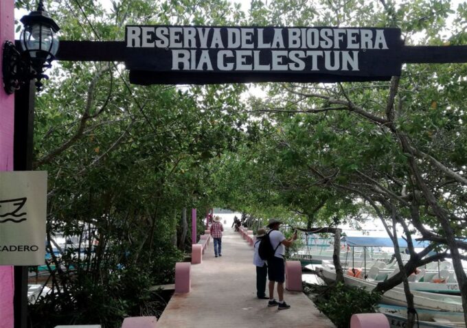 From Mérida: Ria Celestun Biosphere Reserve Tour - Boat Cruise and Ecosystems
