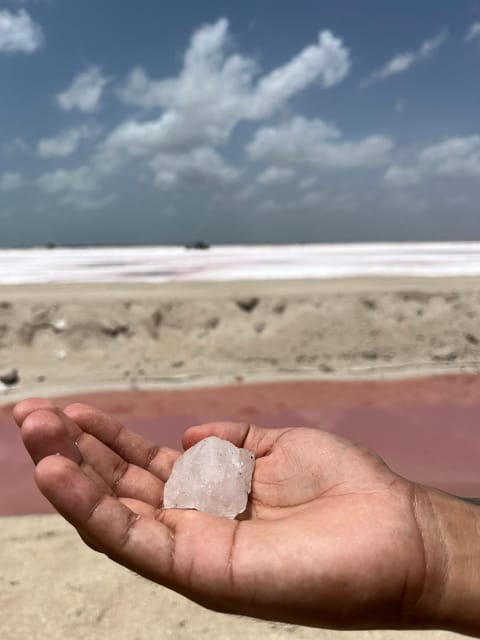 From Merida: Ria Lagartos, Coloradas & Cancunito Beach Tour - Tour Overview and Pricing