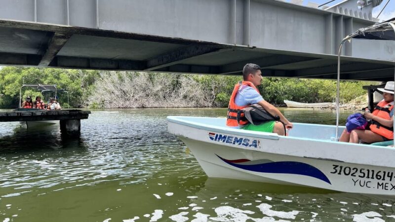From Merida: Ria Lagartos, Coloradas & Cancunito Beach Tour - Activities and Experiences