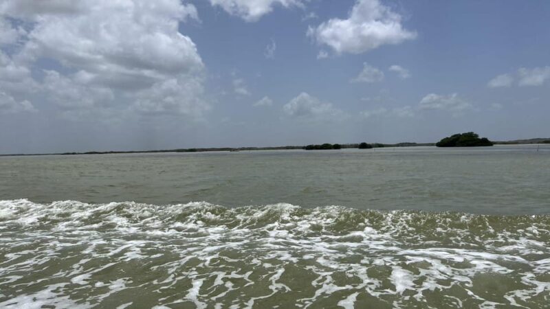 From Merida: Ria Lagartos, Coloradas & Cancunito Beach Tour - Included and Excluded