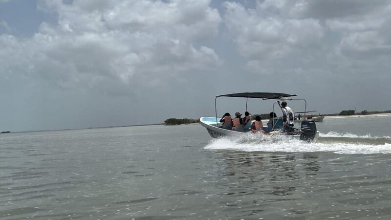 From Merida: Ria Lagartos, Coloradas & Cancunito Beach Tour - Important Information