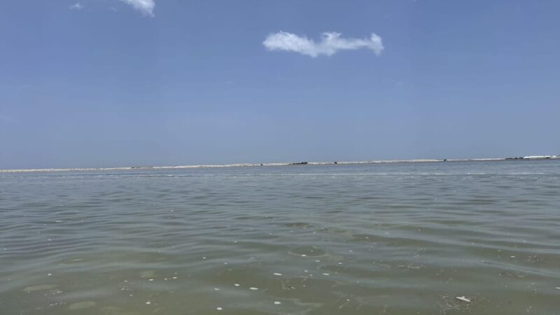 From Merida: Ria Lagartos, Coloradas & Cancunito Beach Tour - Recommendations