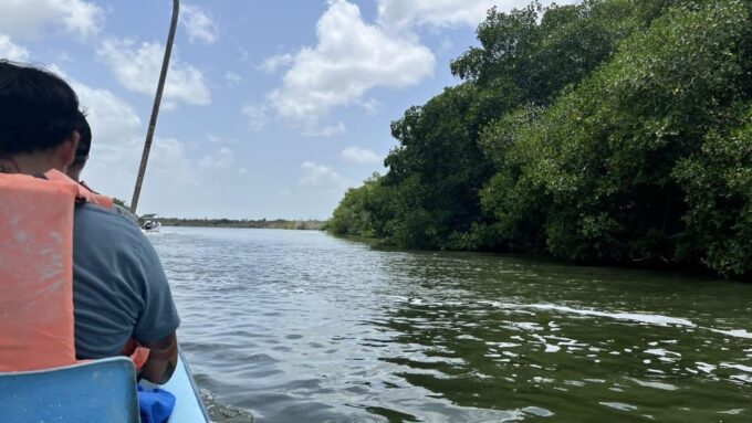 From Merida: Ria Lagartos, Coloradas & Cancunito Beach Tour - Cancellation and Payment