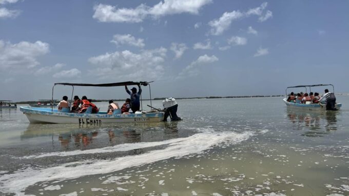 From Merida: Ria Lagartos, Coloradas & Cancunito Beach Tour - Tour Details
