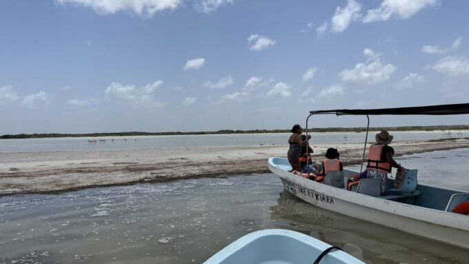 From Merida: Ria Lagartos, Coloradas & Cancunito Beach Tour - Frequently Asked Questions