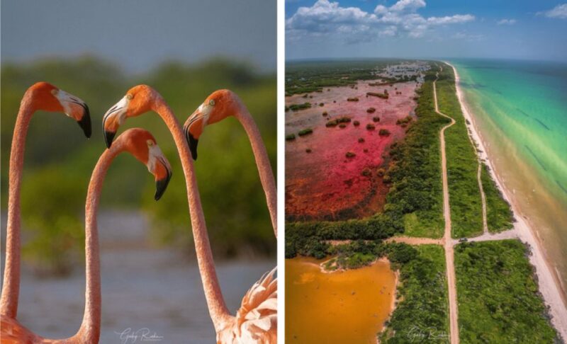 From Mérida: Sisal 3 Ecosystems - Key Points