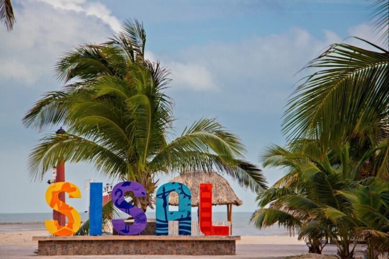 From Mérida: Sisal 3 Ecosystems - Ecosystem Exploration
