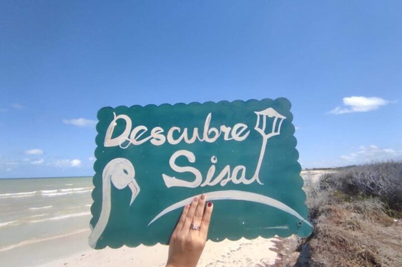From Merida: Sisal Beach and Mangroves Kayak Tour - Itinerary Highlights