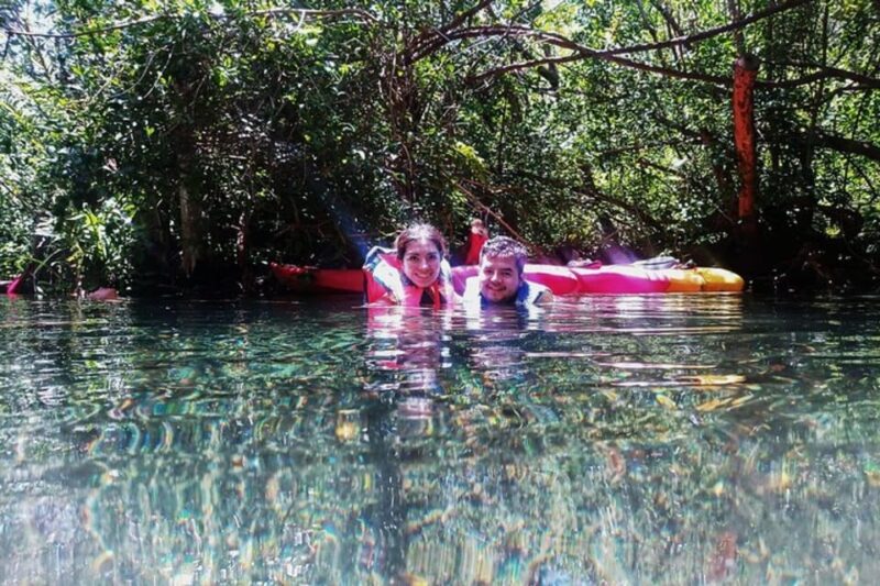 From Merida: Sisal Beach and Mangroves Kayak Tour - Restrictions and Policies