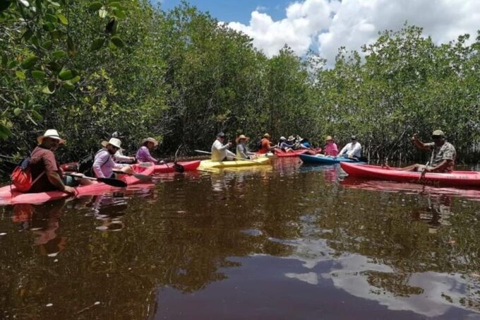 From Merida: Sisal Beach and Mangroves Kayak Tour - Booking Flexibility