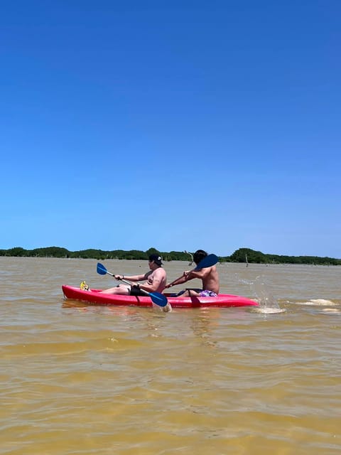 From Merida: Sisal Beach and Mangroves Kayak Tour - Frequently Asked Questions