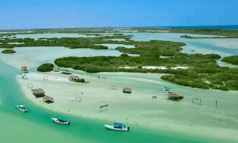 From Merida: Swing Island & Progreso - Key Points