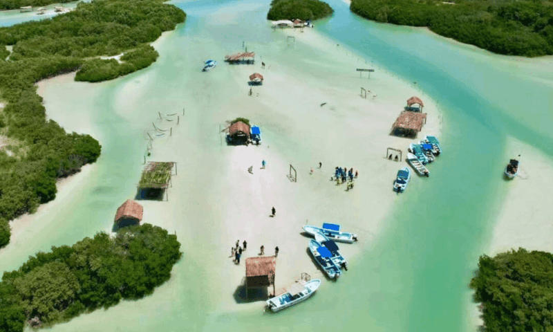 From Merida: Swing Island & Progreso - Highlights and Experiences