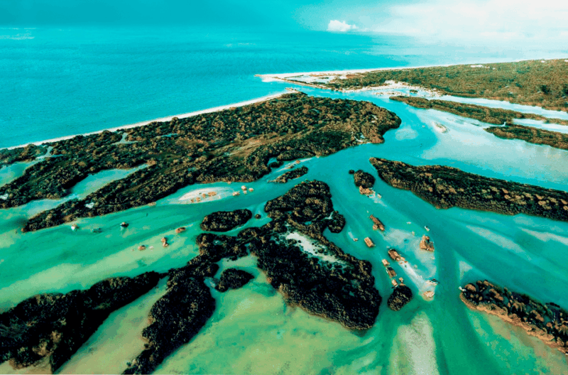 From Merida: Swing Island & Progreso - Inclusions and Restrictions