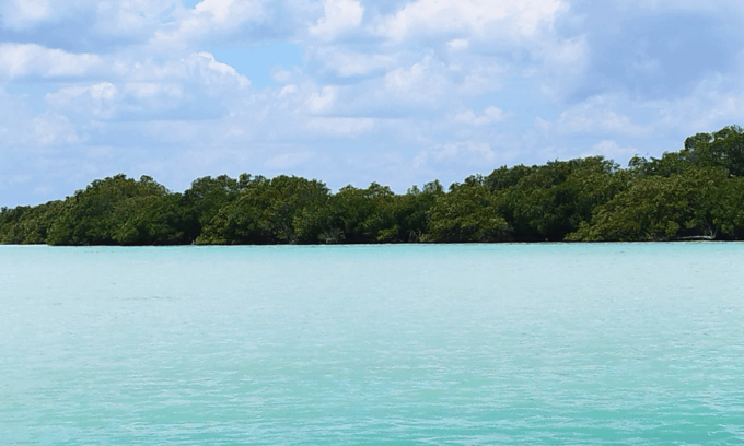 From Merida: Swing Island & Progreso - Tour Duration and Cancellation Policy