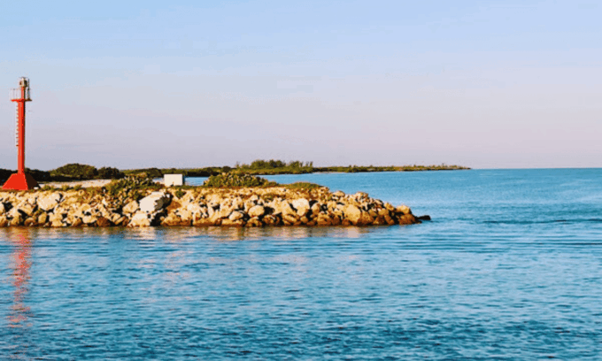 From Merida: Swing Island & Progreso - Frequently Asked Questions