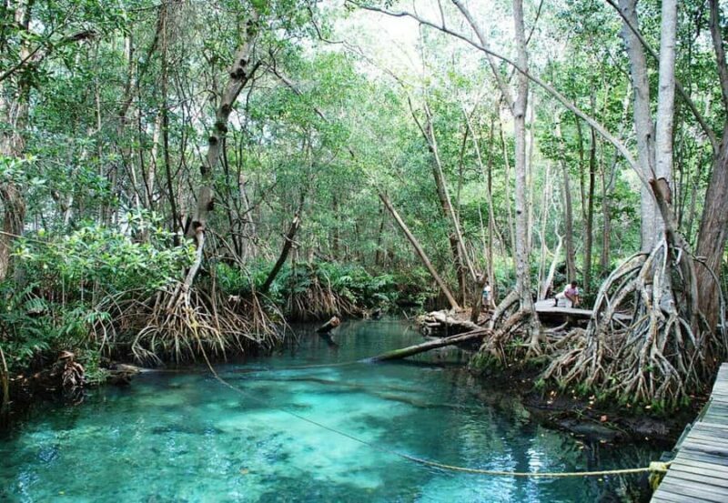 From Merida to Celestún: Biosphere, Flamingos & Beach Escape - FAQ Section
